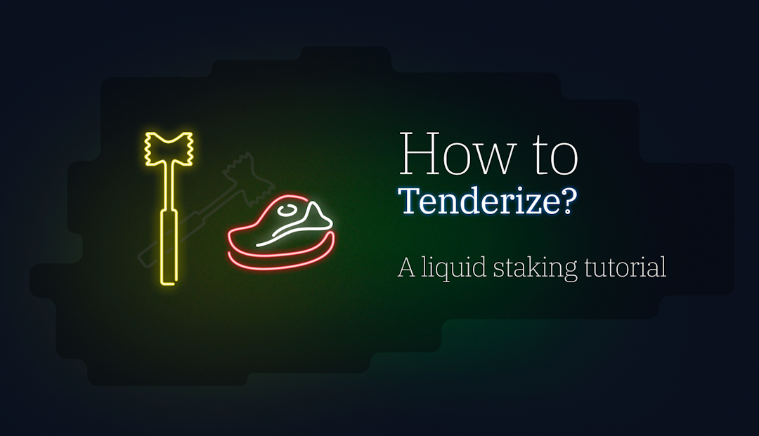 Liquid Staking With Tenderize Tutorial