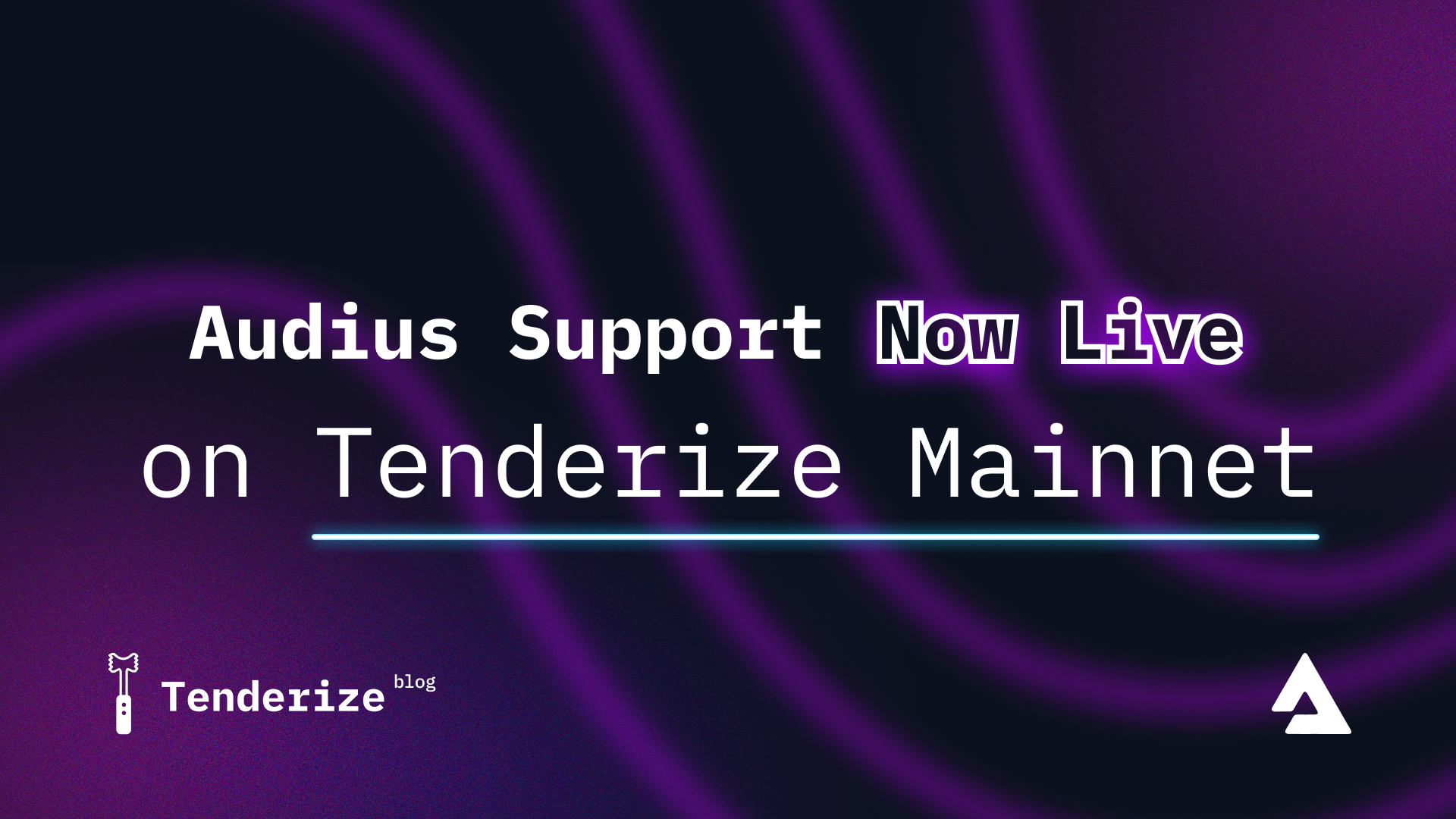 Audius Support Now Live on Tenderize Mainnet!